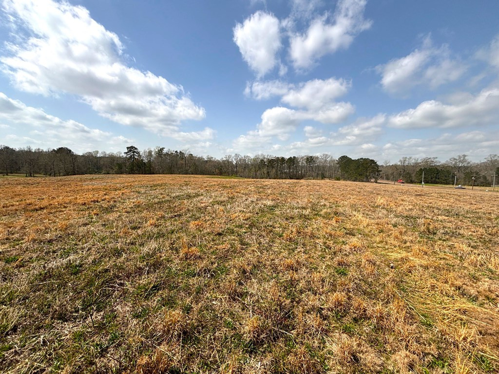 ... West Presley Boulevard McComb, MS 39648 - Photo 10 of 10 Photo 10