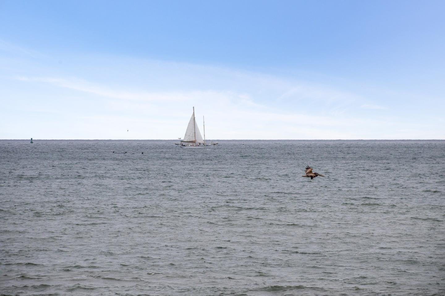 100 Coronado Avenue Half Moon Bay, CA 94019 - Photo 62 of 64 a view of beach and an ocean beach