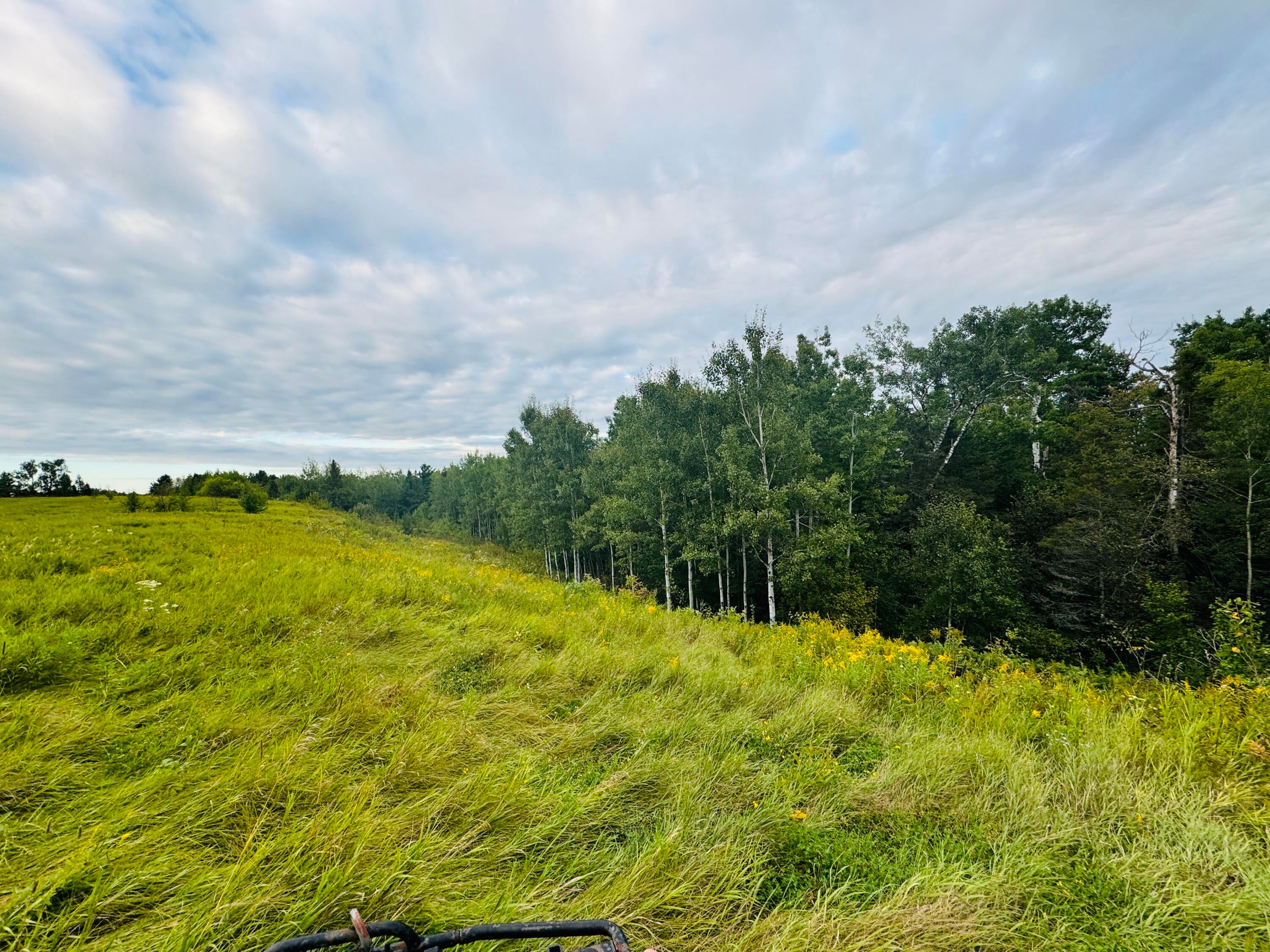 0 South Ridge Road Sault Ste. Marie, MI 49783 - Photo 8 of 10 Gallery Image 8