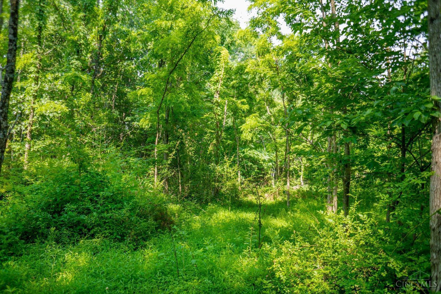 5111 Sunshine Ridge Road Blue Creek, OH 45616 - Photo 25 of 32