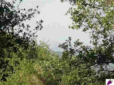 31348 Apache Road Coarsegold, CA 93614 - Photo 5 of 8 Gallery Image 5