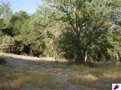31348 Apache Road Coarsegold, CA 93614 - Photo 6 of 8 Gallery Image 6