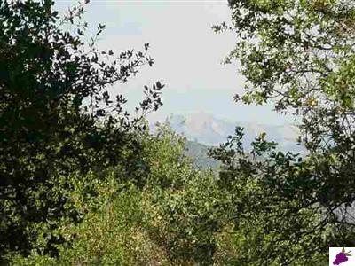 31348 Apache Road Coarsegold, CA 93614 - Photo 7 of 8 Gallery Image 7