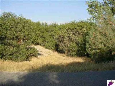 31348 Apache Road Coarsegold, CA 93614 - Photo 8 of 8 Gallery Image 8