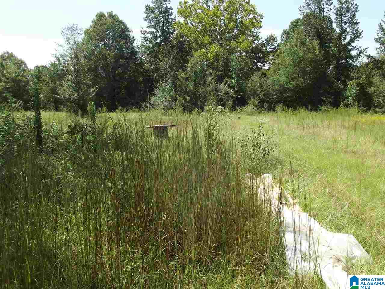 214 Brannen Road Sylacauga, AL 35150 - Photo 35 of 36