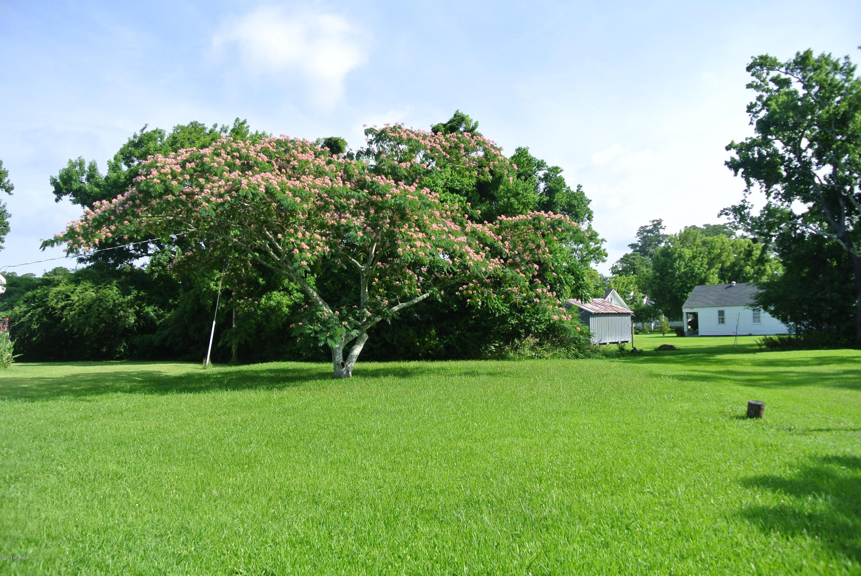 316 Community Road Davis, NC 28524 - Photo 8 of 41 Back Yard with Mimosa Tree