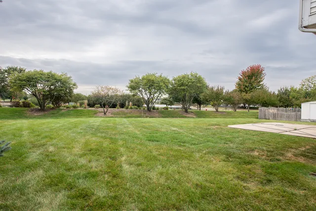 a view of a green field