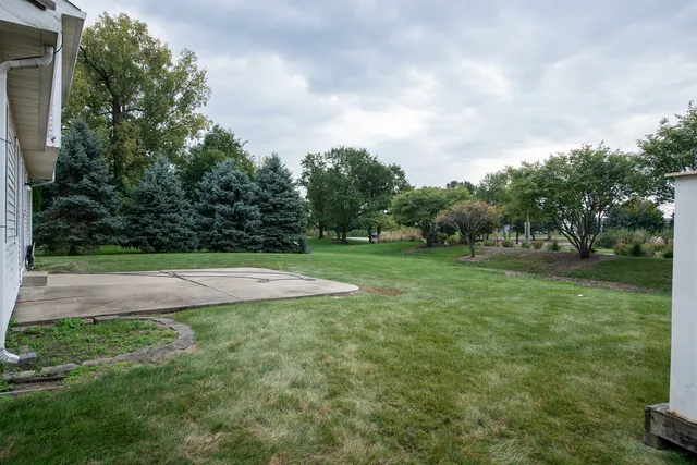 a view of a backyard