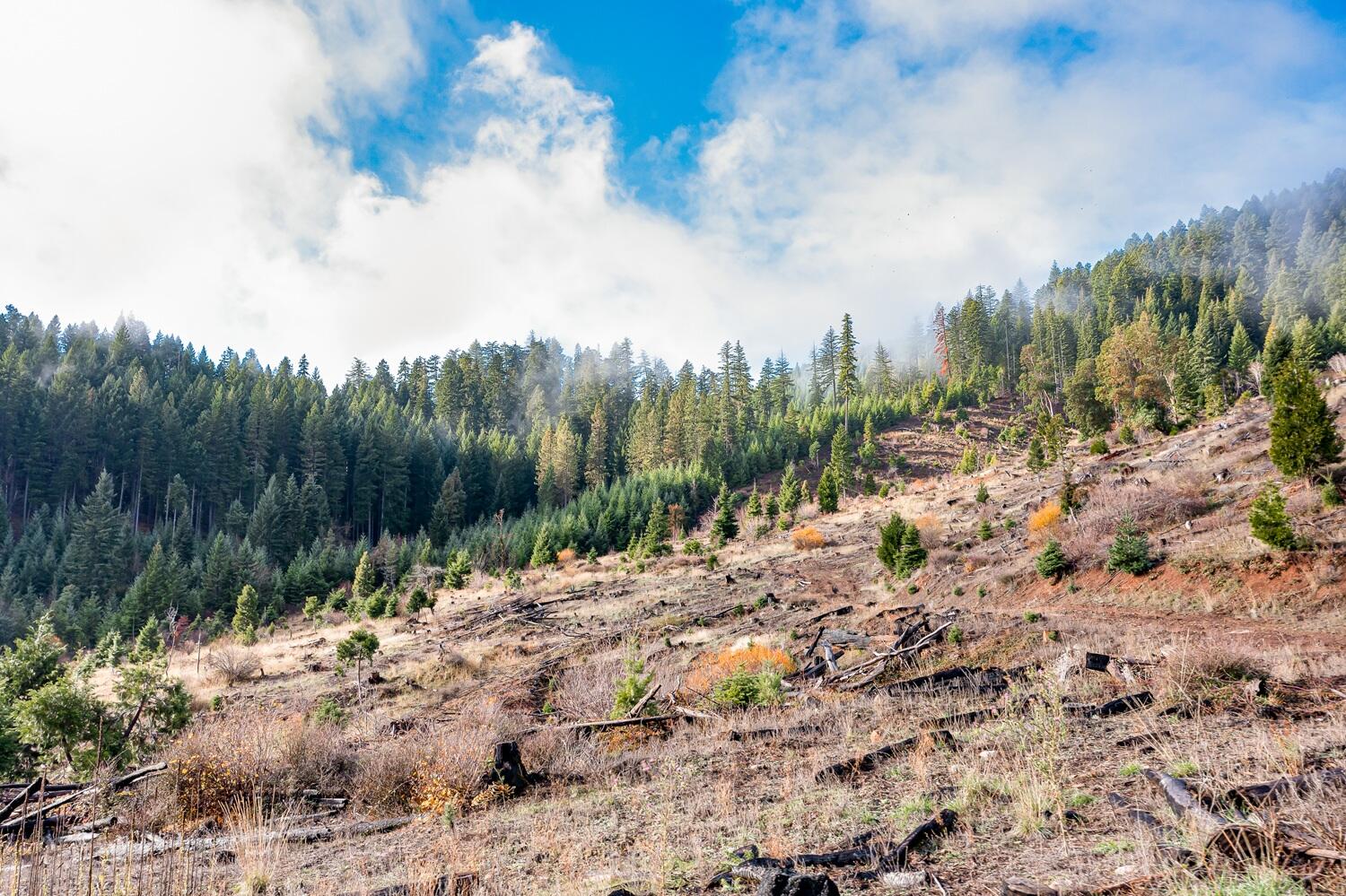 River Road Trail, OR 97541 - Photo 13 of 20 DJI_0960HDR27