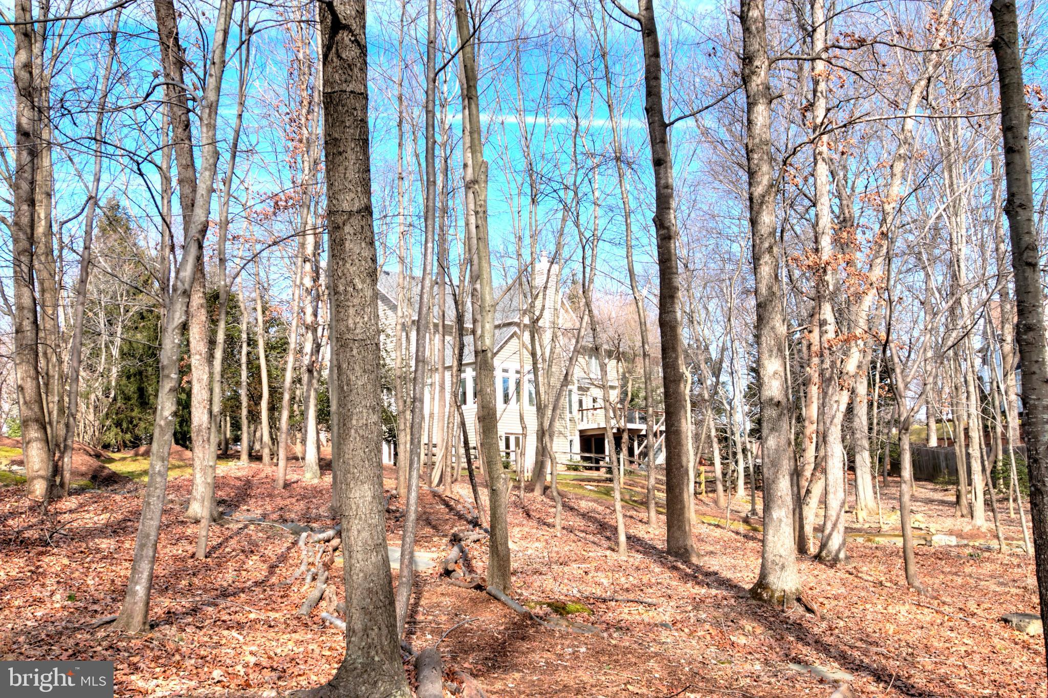 11205 Bright Pond Lane Reston, VA 20194 - Photo 68 of 102 So Much To Explore In Your Own Backyard!