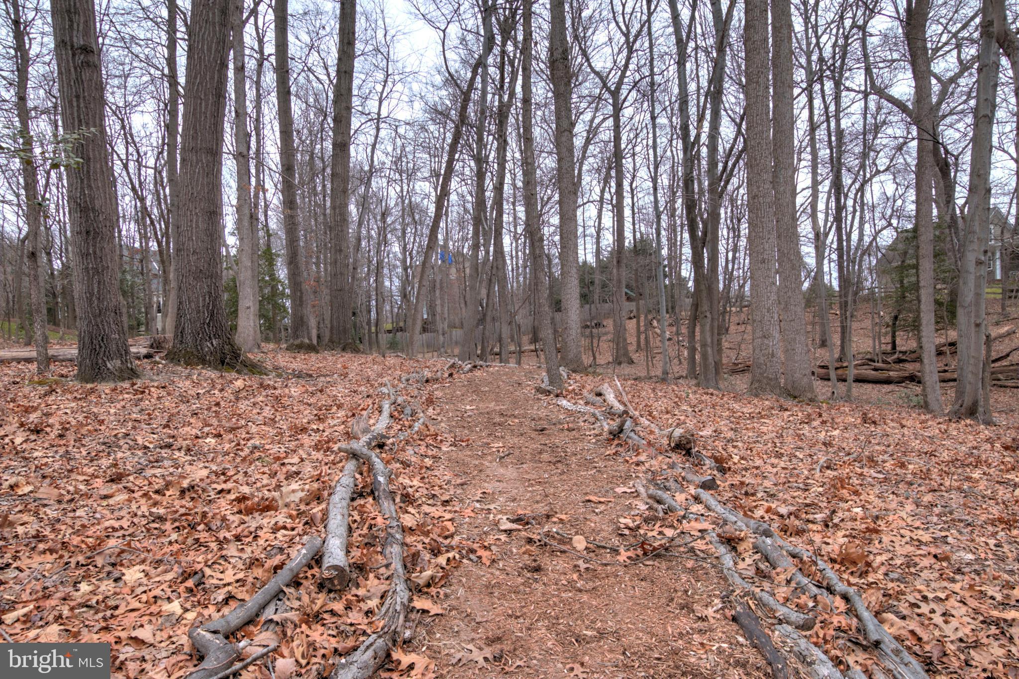 11205 Bright Pond Lane Reston, VA 20194 - Photo 69 of 102 Your Own Personal Path Through the Woods!