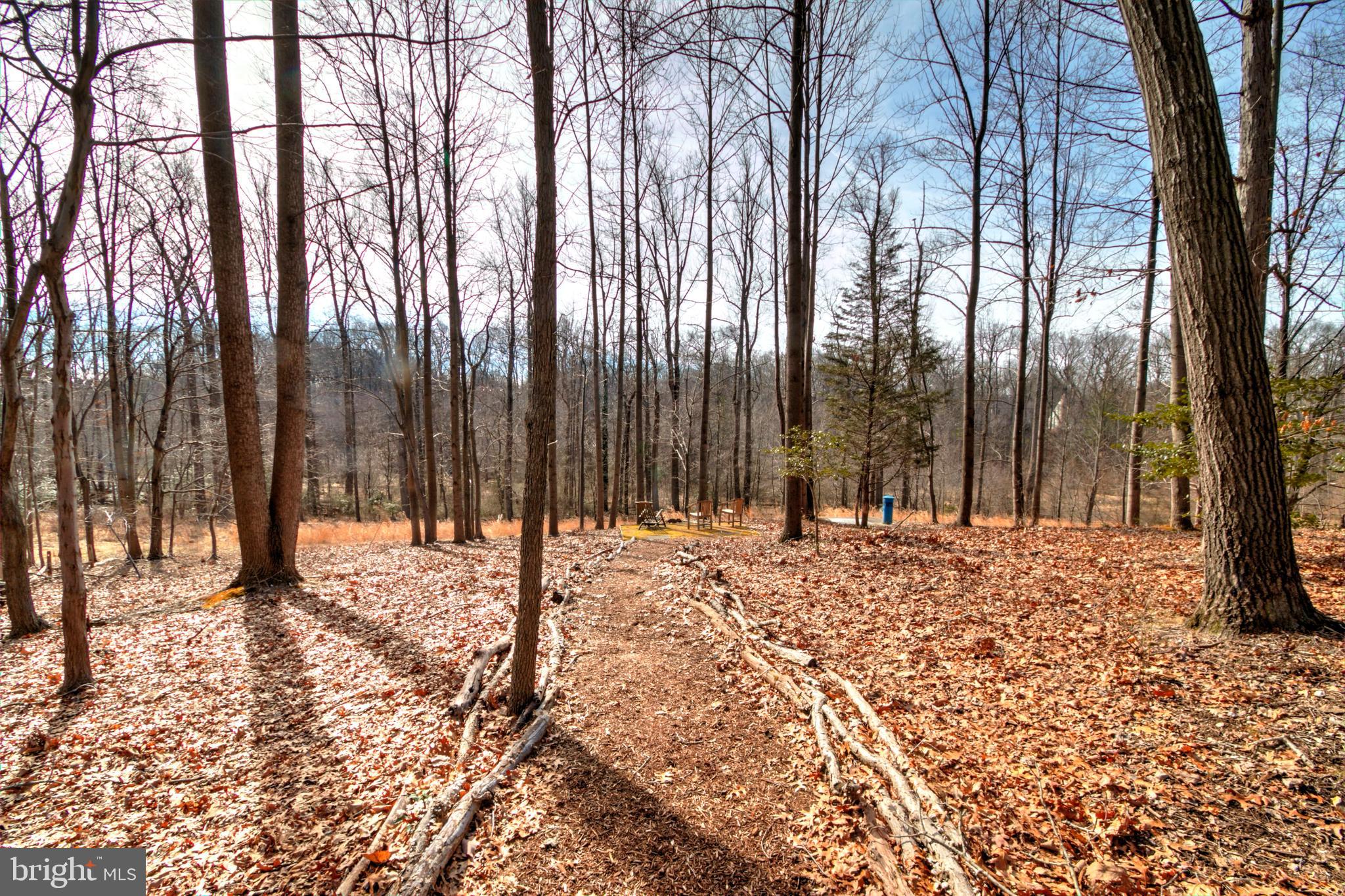 11205 Bright Pond Lane Reston, VA 20194 - Photo 70 of 102 Pathway Through The Yard