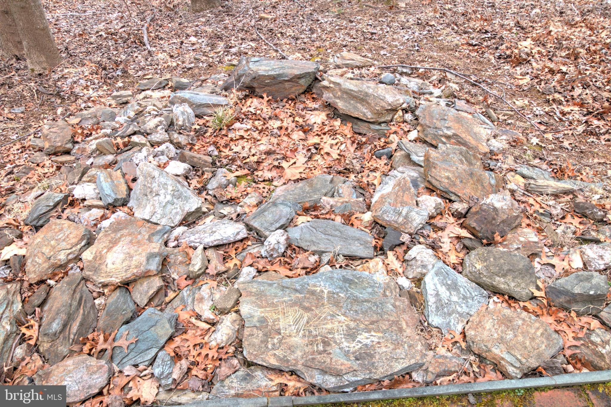 11205 Bright Pond Lane Reston, VA 20194 - Photo 73 of 102 A Firepit For Cool Evenings!
