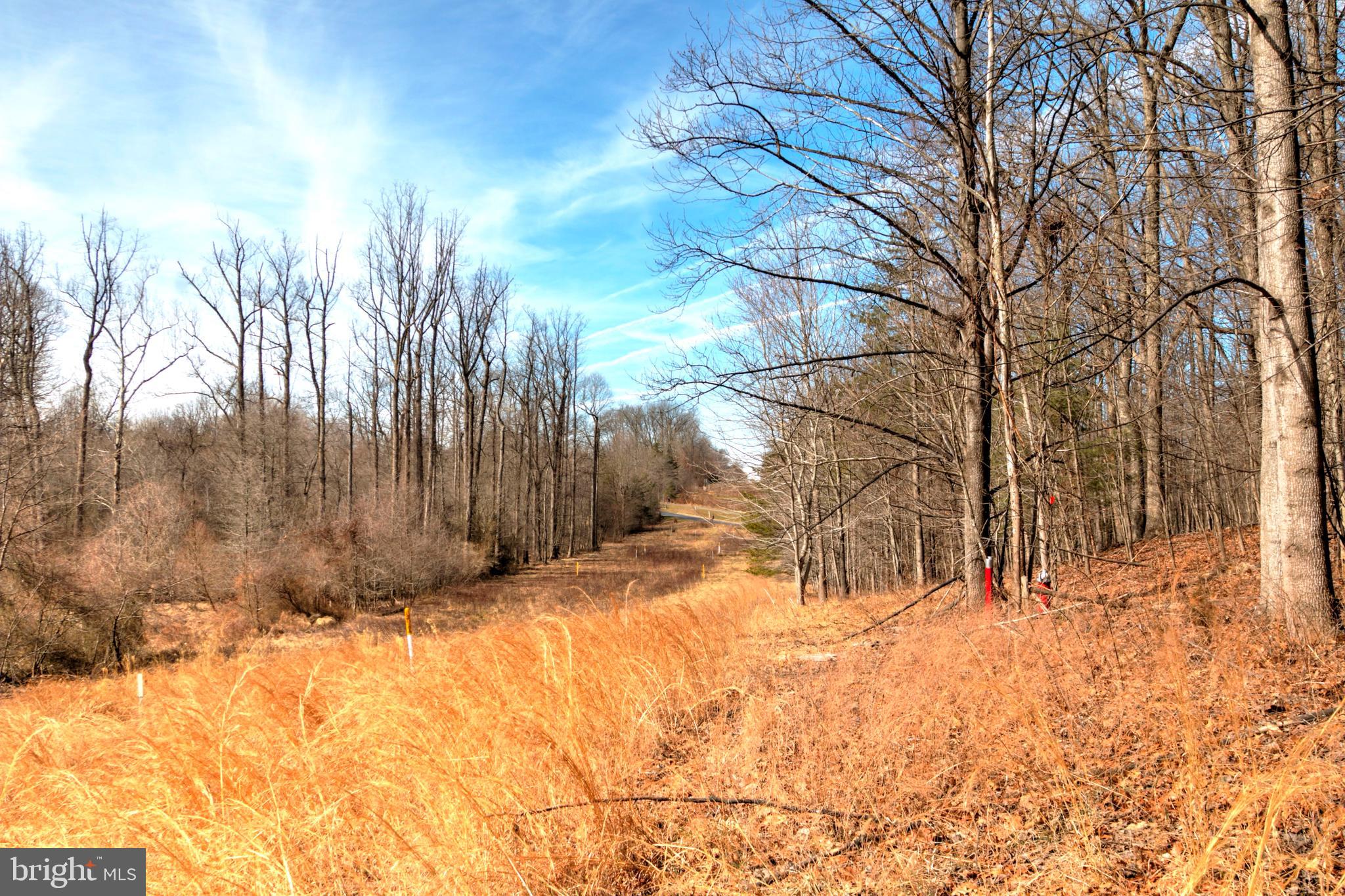 11205 Bright Pond Lane Reston, VA 20194 - Photo 76 of 102 Pipeline Easement