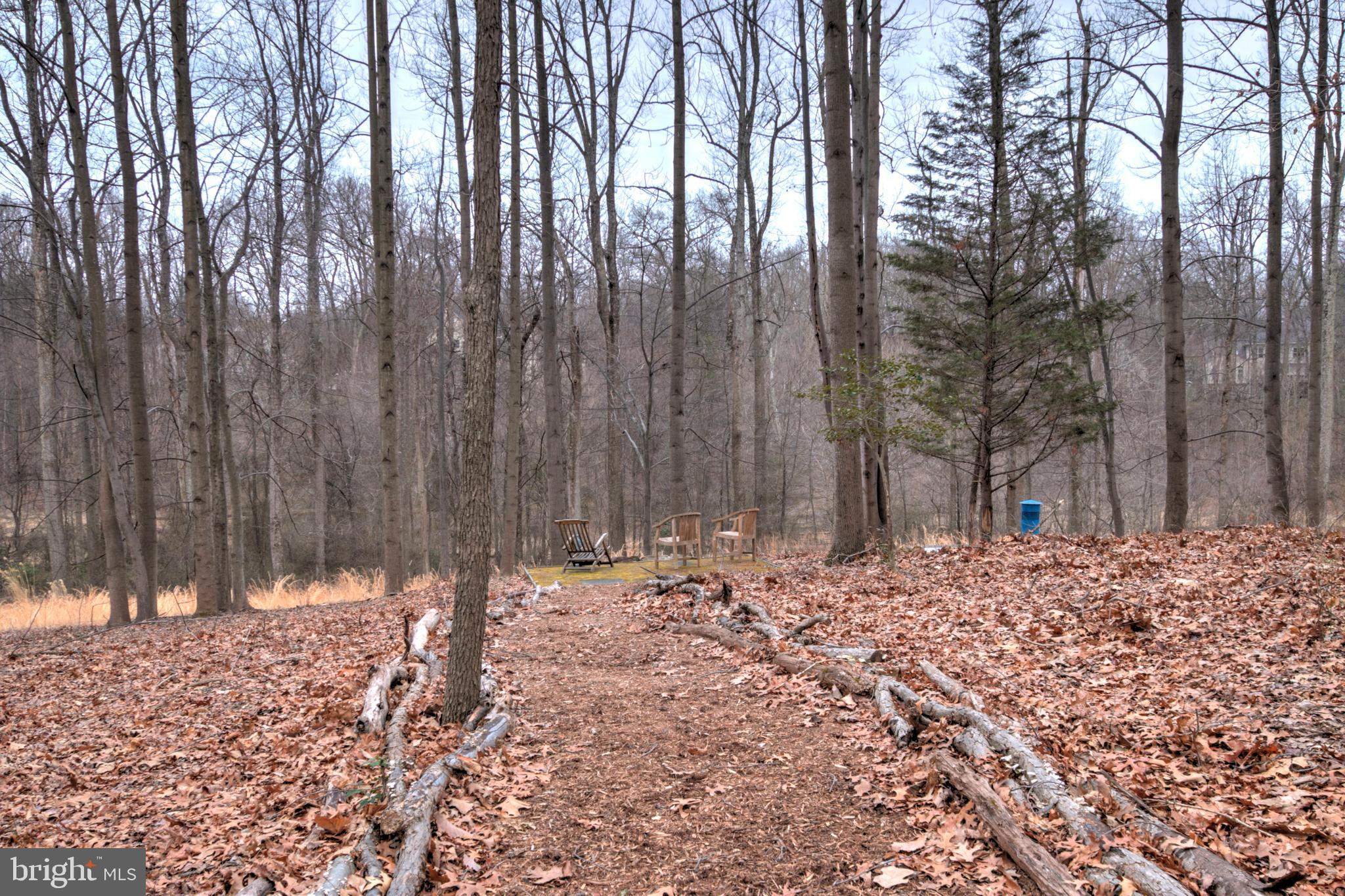 11205 Bright Pond Lane Reston, VA 20194 - Photo 78 of 102 It's A Wooded Wonderland