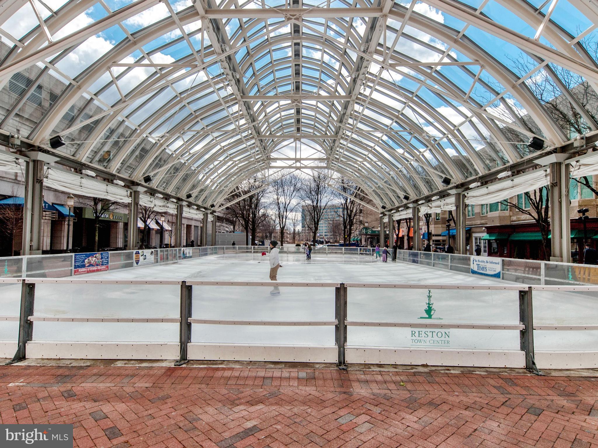 11205 Bright Pond Lane Reston, VA 20194 - Photo 96 of 102 Ice Skating Rink and Ampitheater
