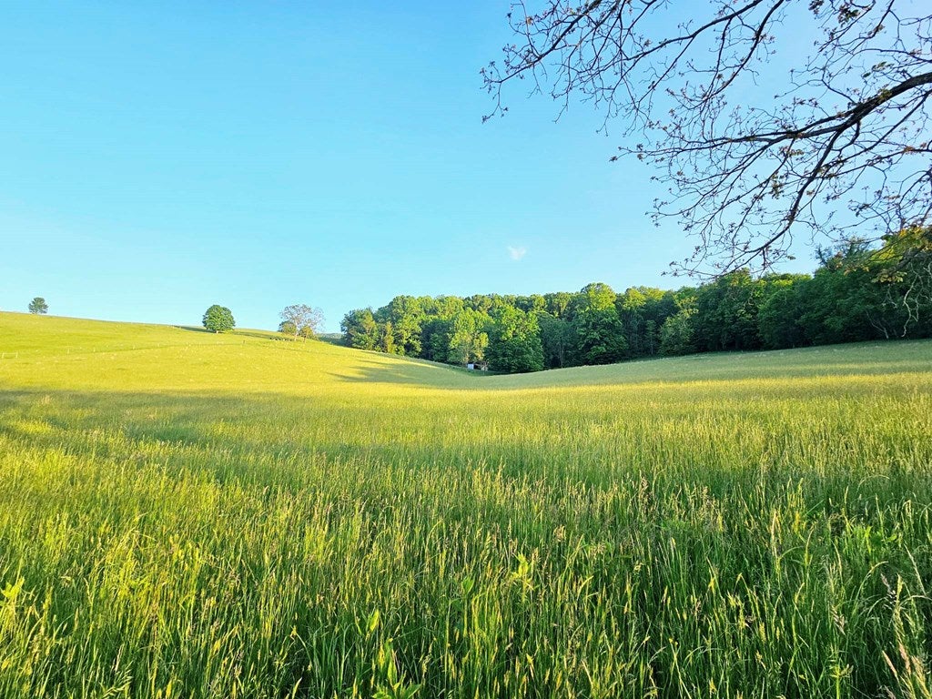 400 Gratton Road Tazewell, VA 24651 - Photo 12 of 40 Gallery Image 12