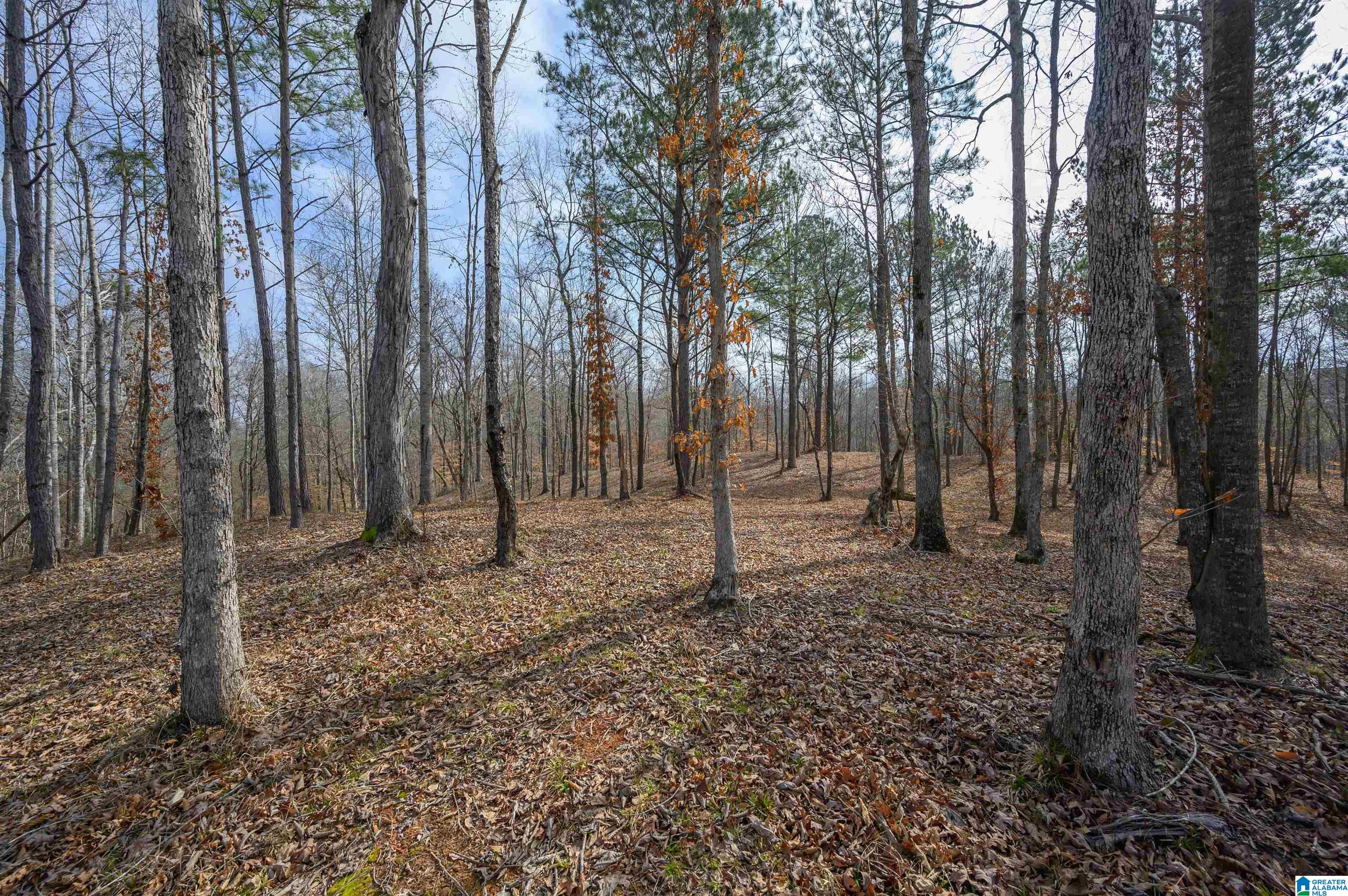 8026 Madison Avenue Helena, AL 35080 - Photo 64 of 66