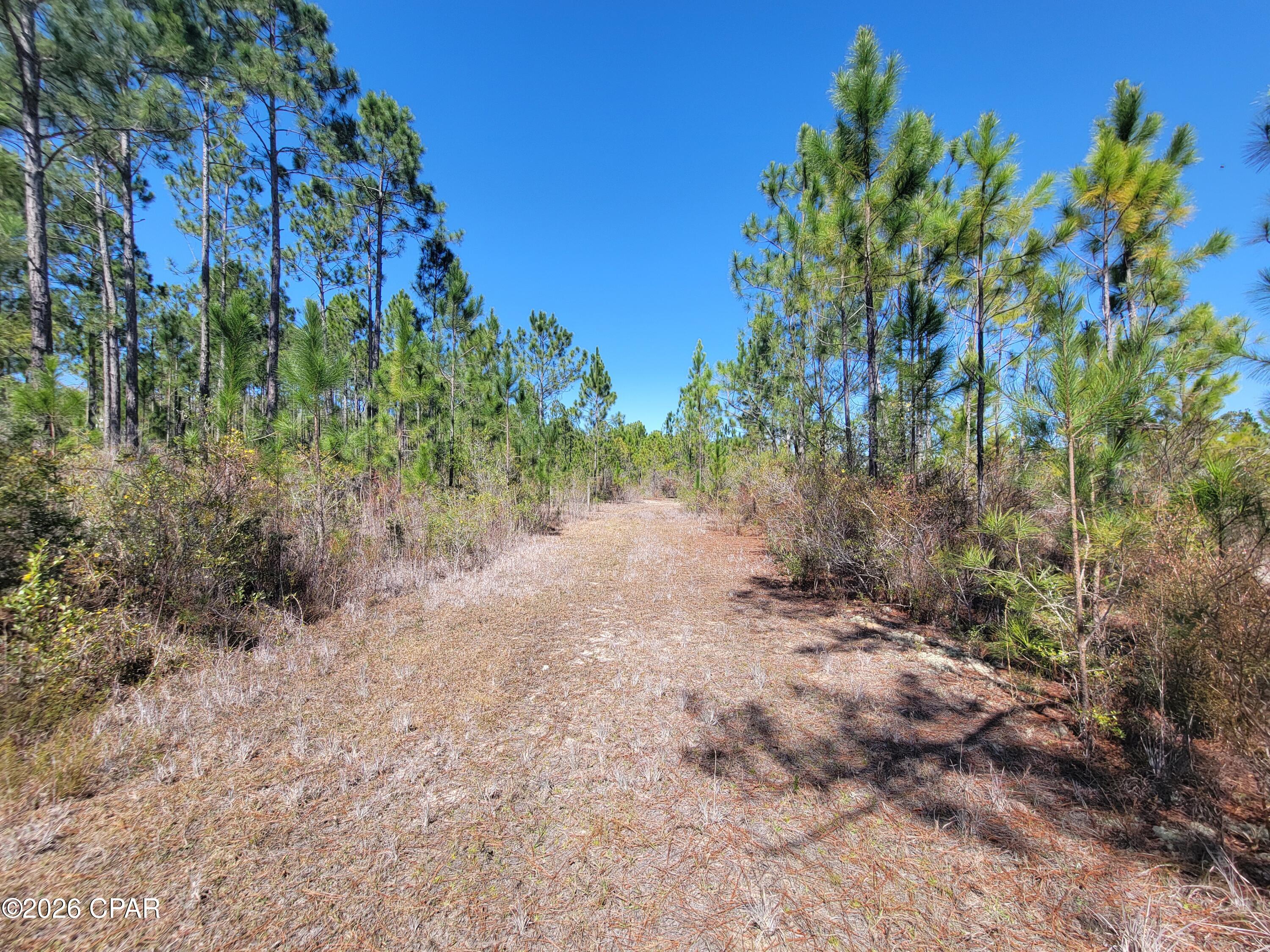 Tbd City Square Road Alford, FL 32420 - Photo 11 of 22