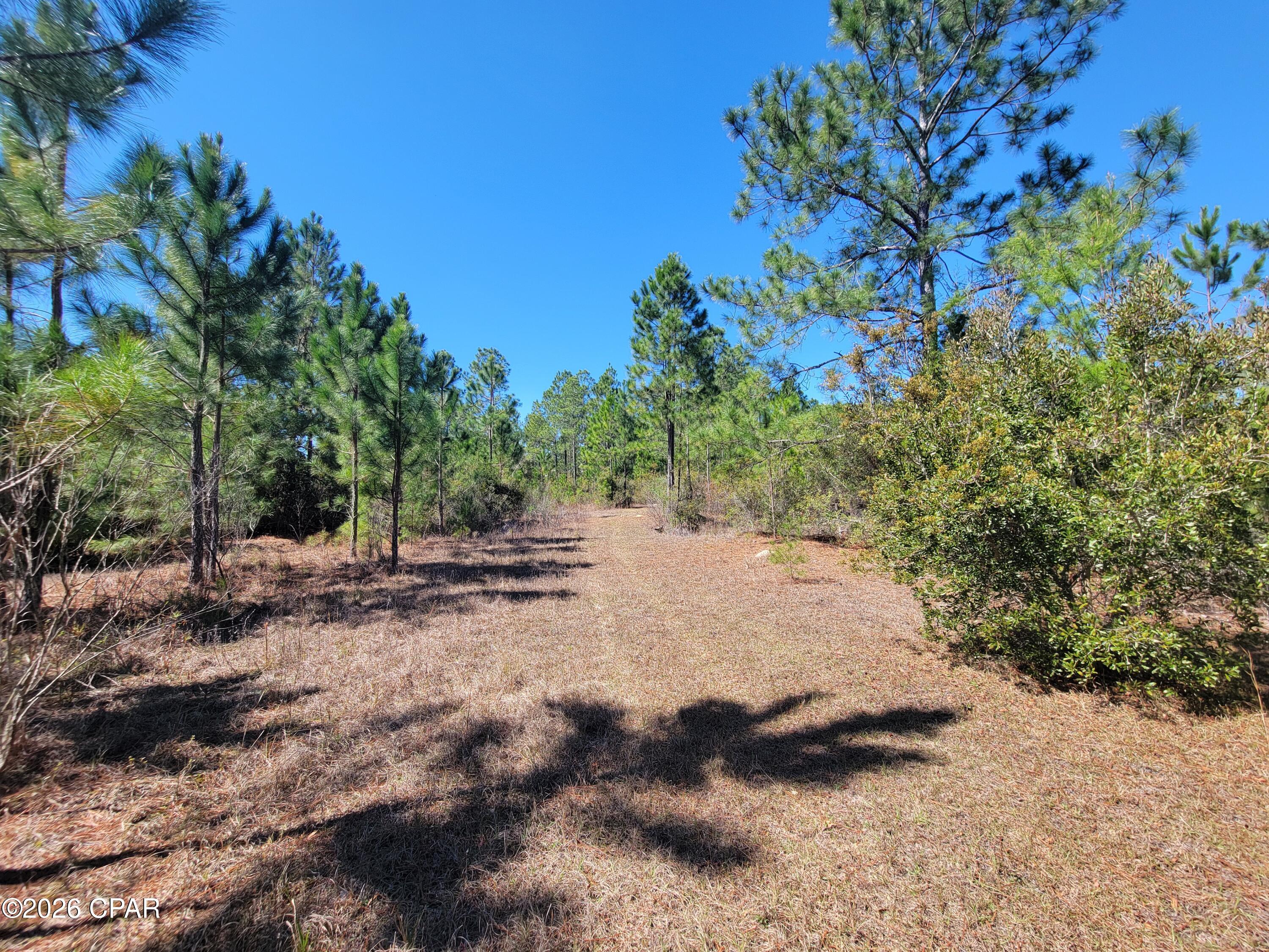 Tbd City Square Road Alford, FL 32420 - Photo 12 of 22