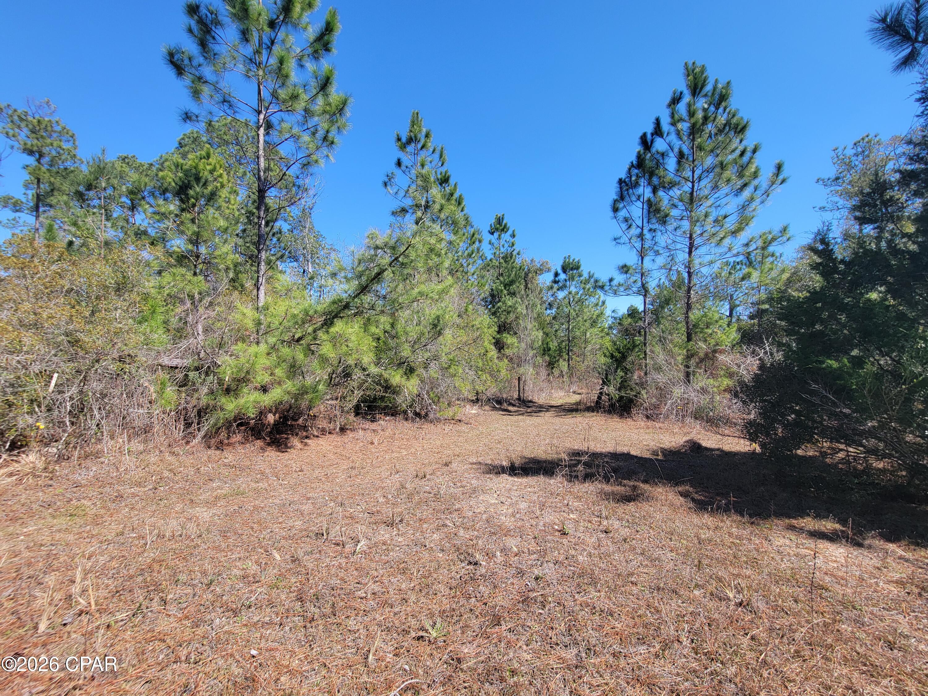 Tbd City Square Road Alford, FL 32420 - Photo 13 of 22