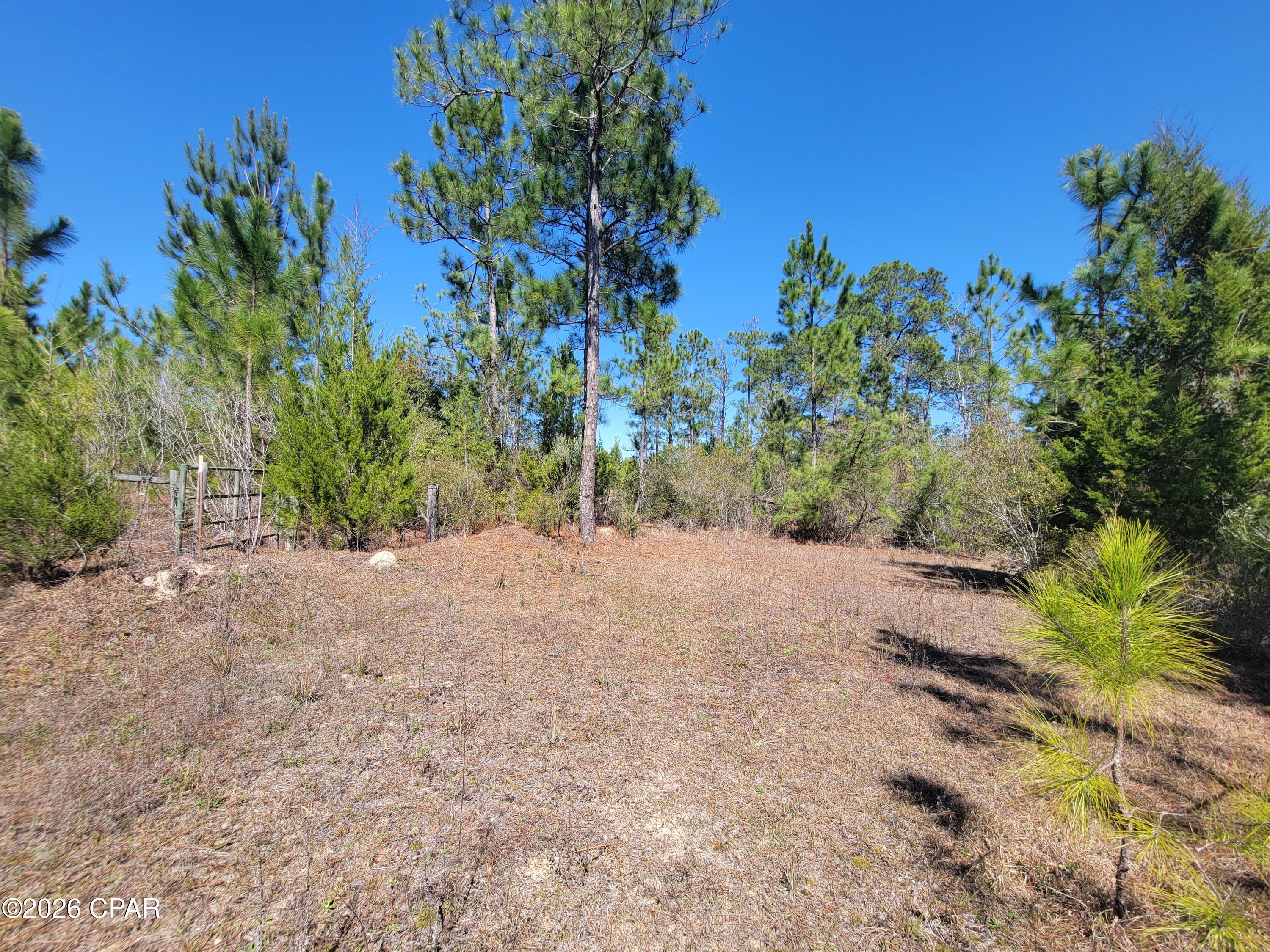 Tbd City Square Road Alford, FL 32420 - Photo 14 of 22