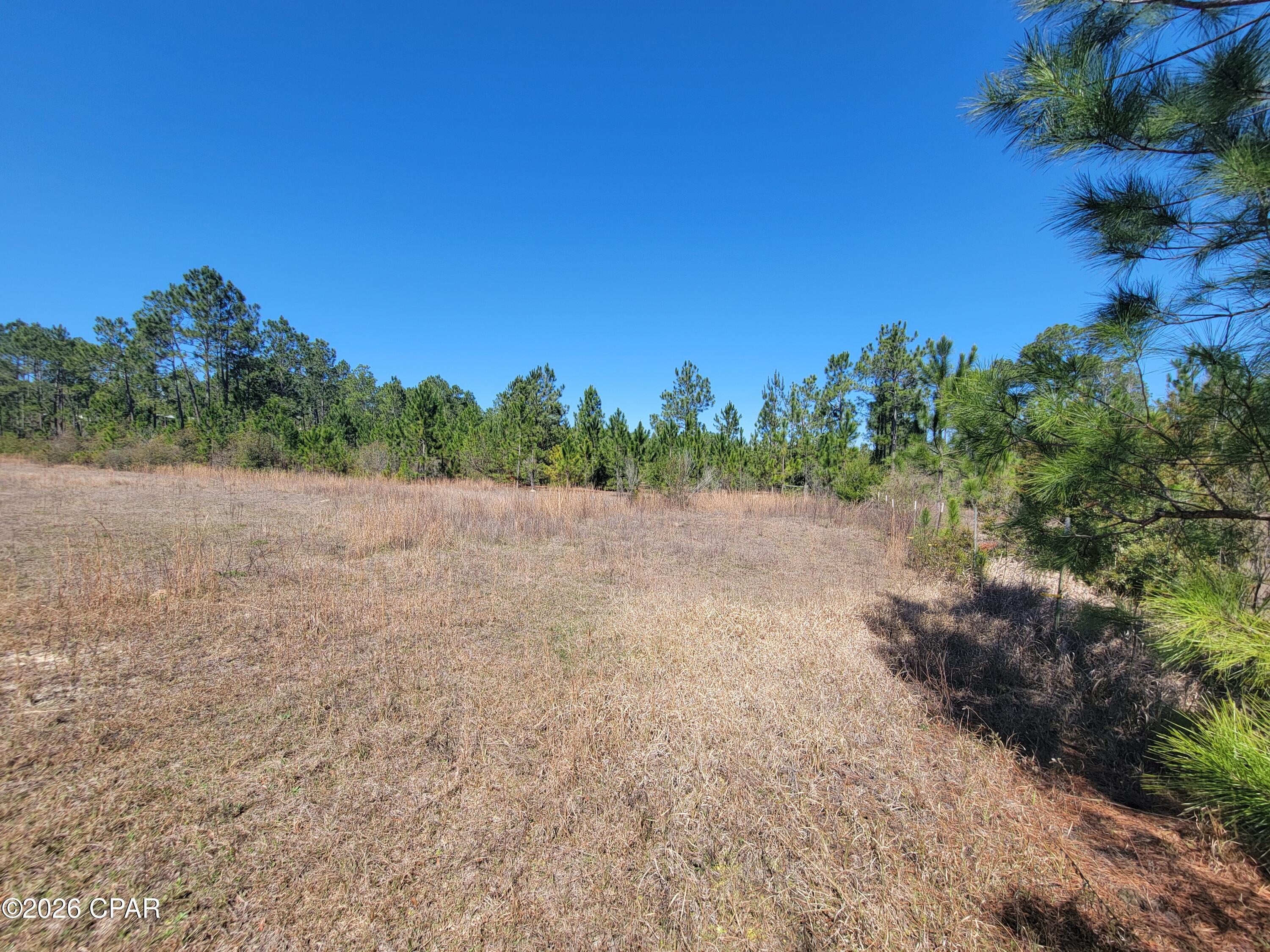 Tbd City Square Road Alford, FL 32420 - Photo 15 of 22