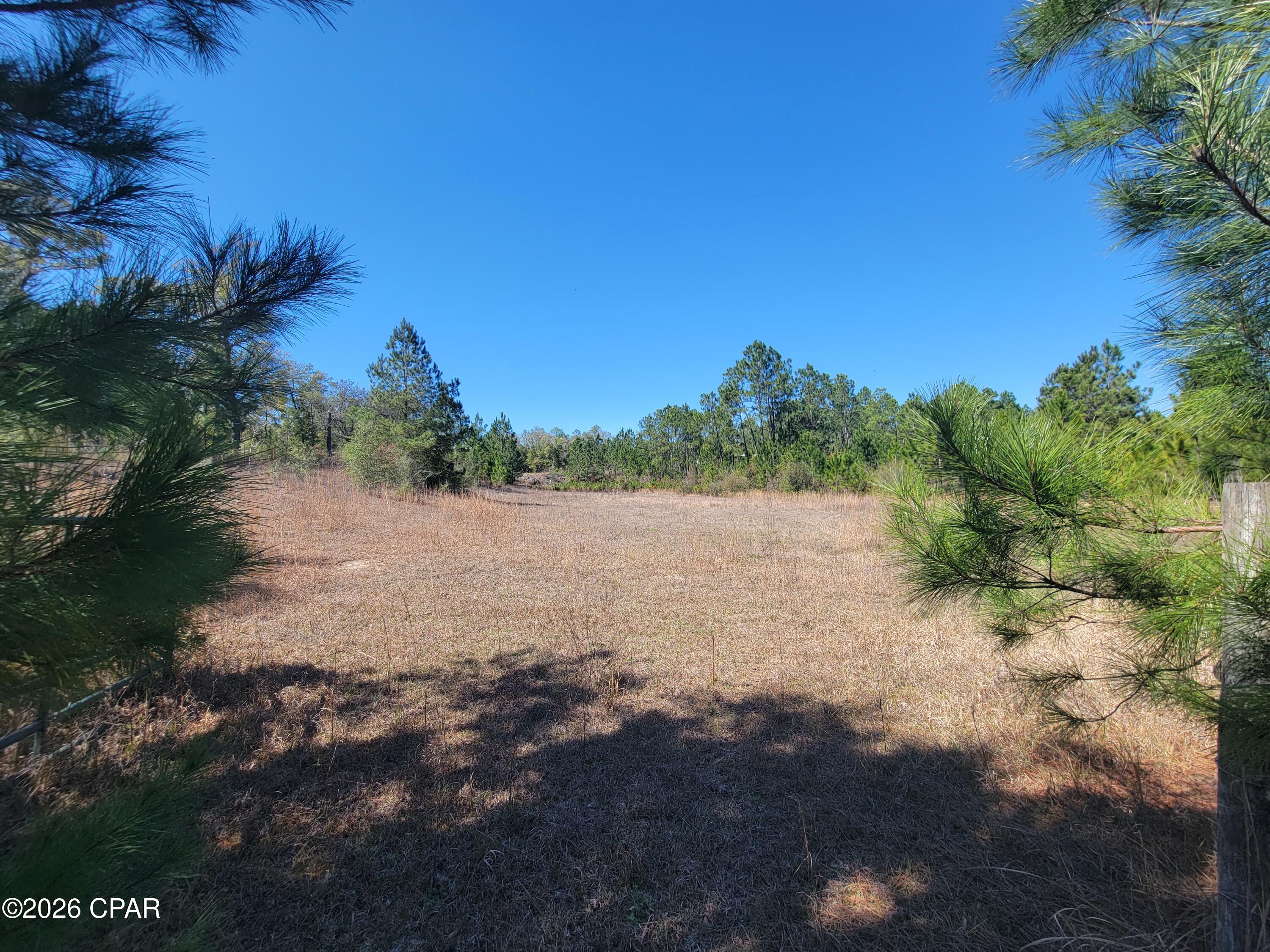 Tbd City Square Road Alford, FL 32420 - Photo 16 of 22