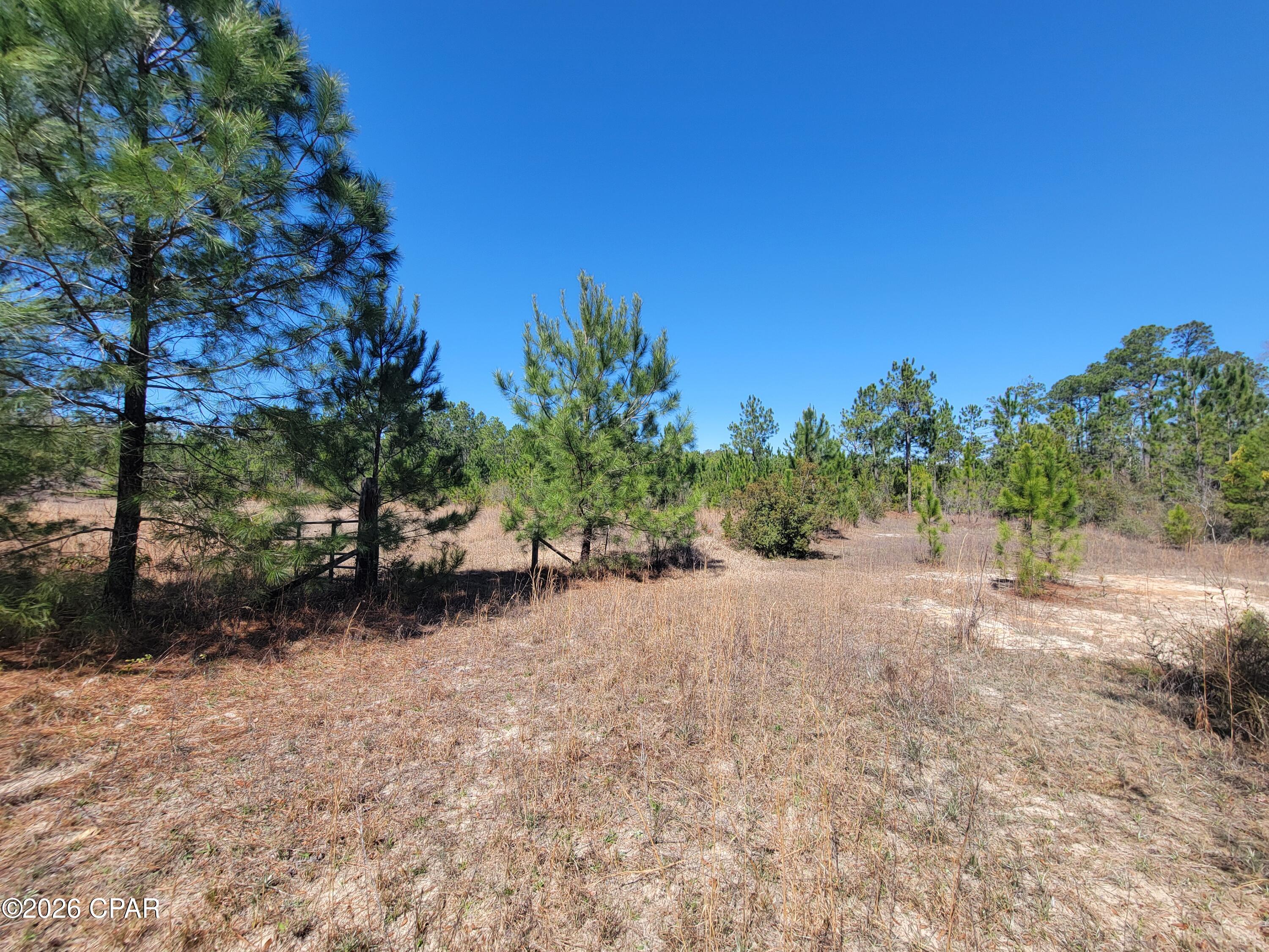 Tbd City Square Road Alford, FL 32420 - Photo 17 of 22