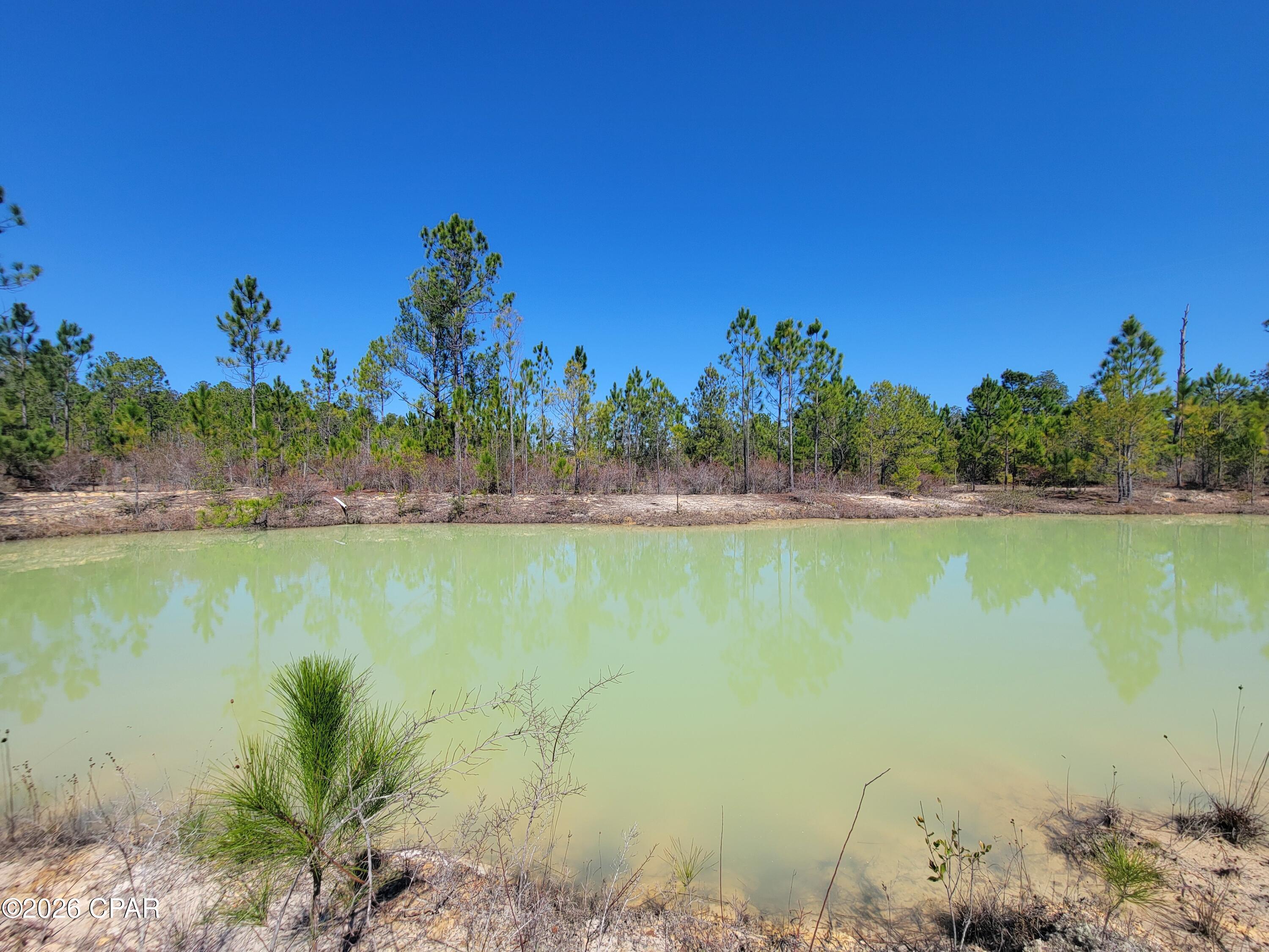 Tbd City Square Road Alford, FL 32420 - Photo 19 of 22