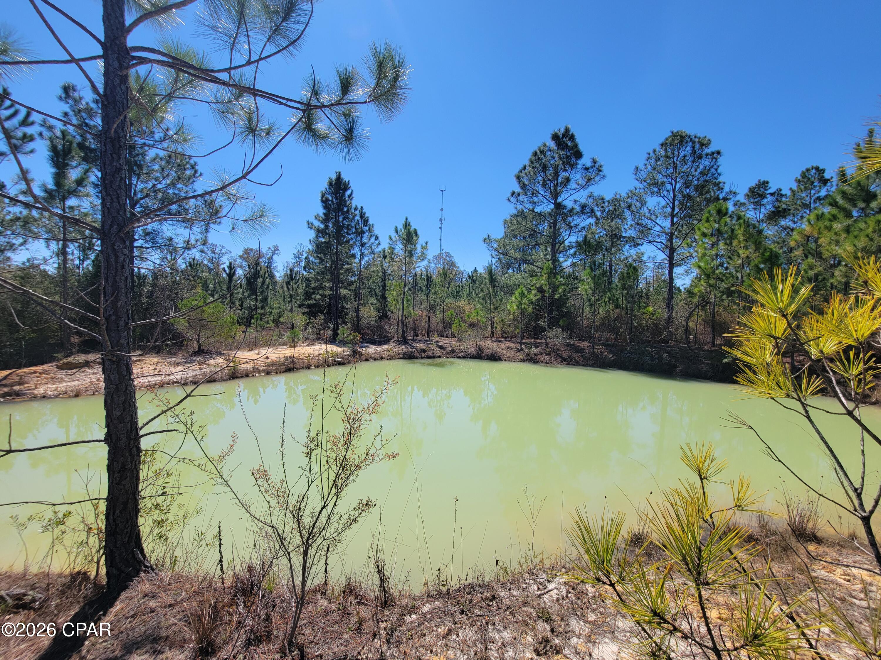 Tbd City Square Road Alford, FL 32420 - Photo 2 of 22
