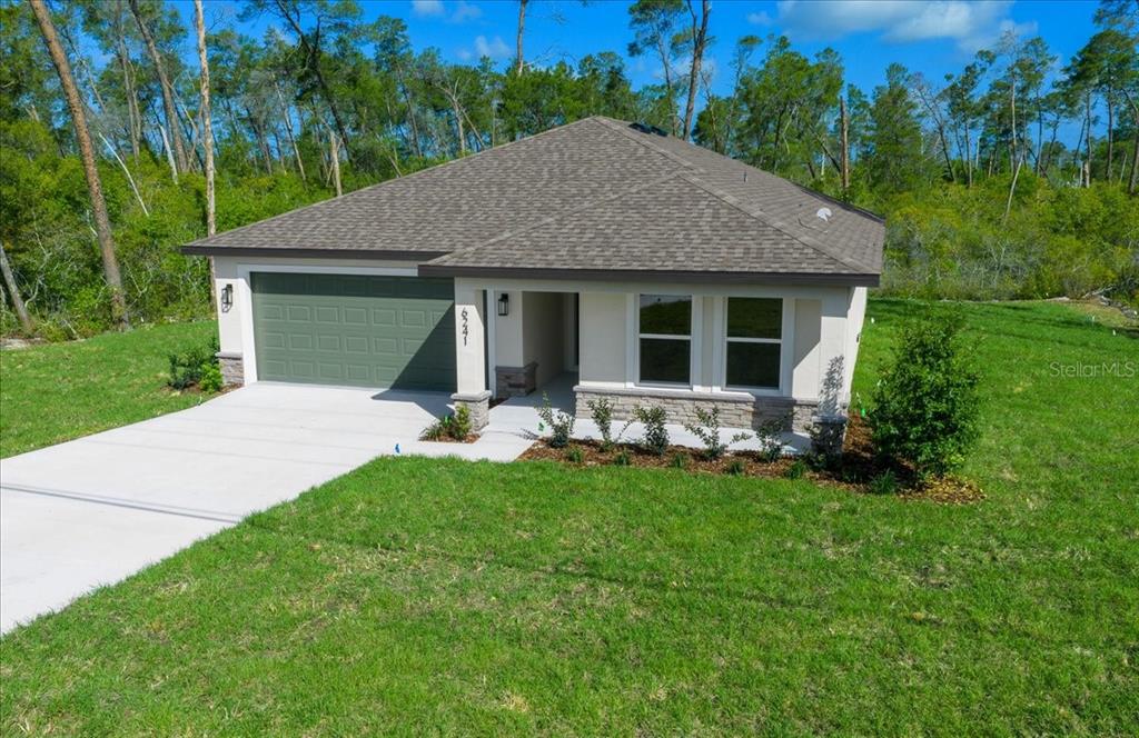 6241 Freeport Drive Spring Hill, FL 34608 - Photo 41 of 56