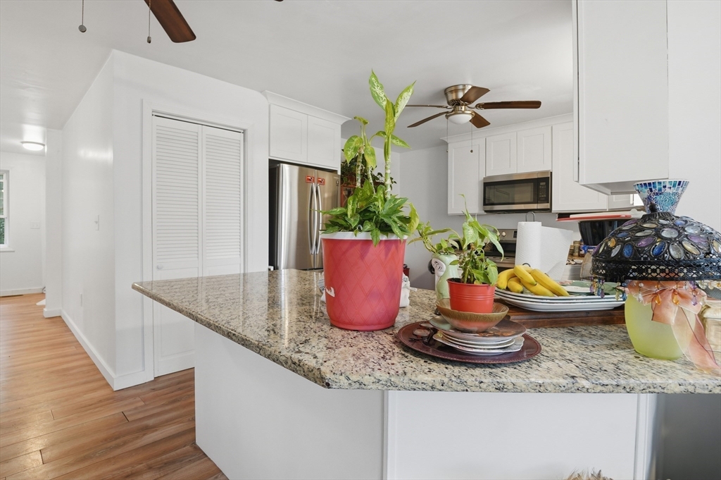 47 Pine Hill Road Worcester, MA 01604 - Photo 6 of 38 Gallery Image 6