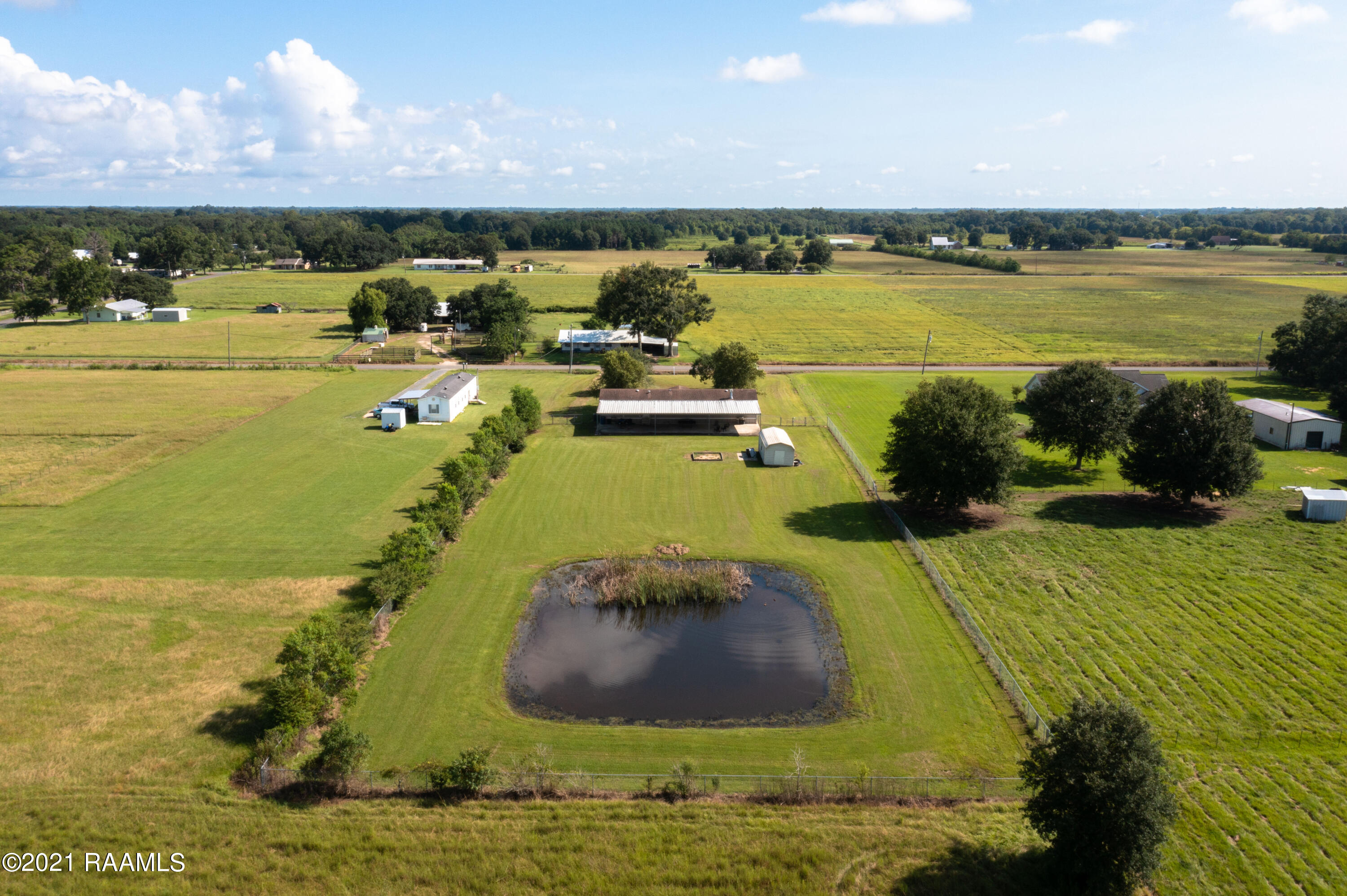 Pond/Yard View