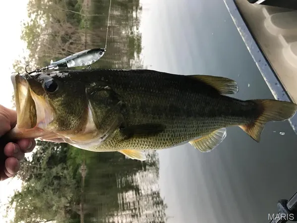 $795,000 | 335 Westwood Drive, Houston, MO 65483