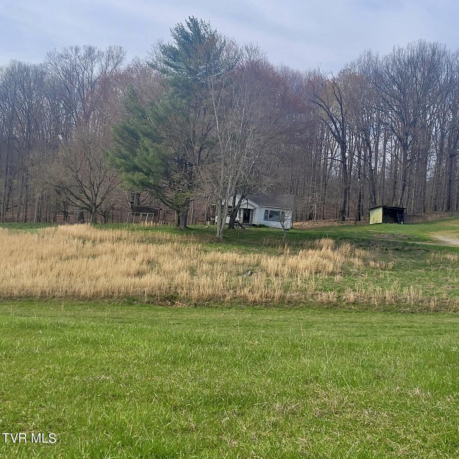 Tbd Egypt Road, Unit 8 Bluff City, TN 37618 - Photo 1 of 12 Resized_20240325_161615