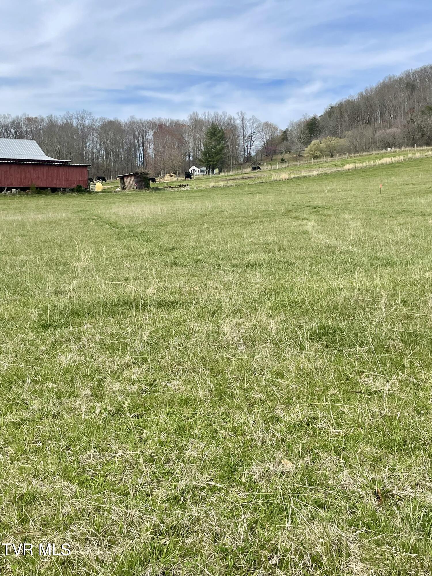 Tbd Egypt Road, Unit 8 Bluff City, TN 37618 - Photo 3 of 12 IMG_4821