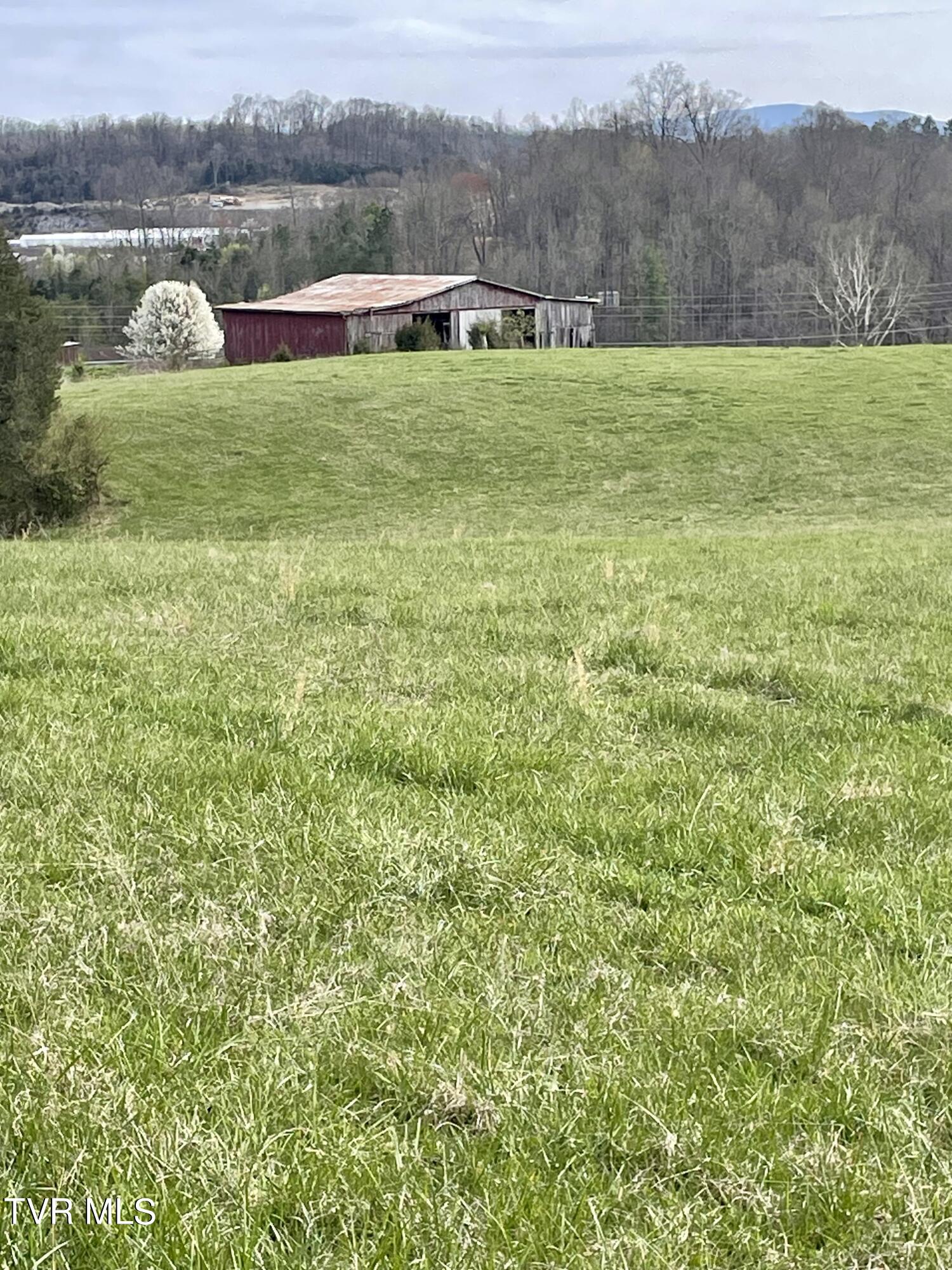 Tbd Egypt Road, Unit 8 Bluff City, TN 37618 - Photo 4 of 12 IMG_4818