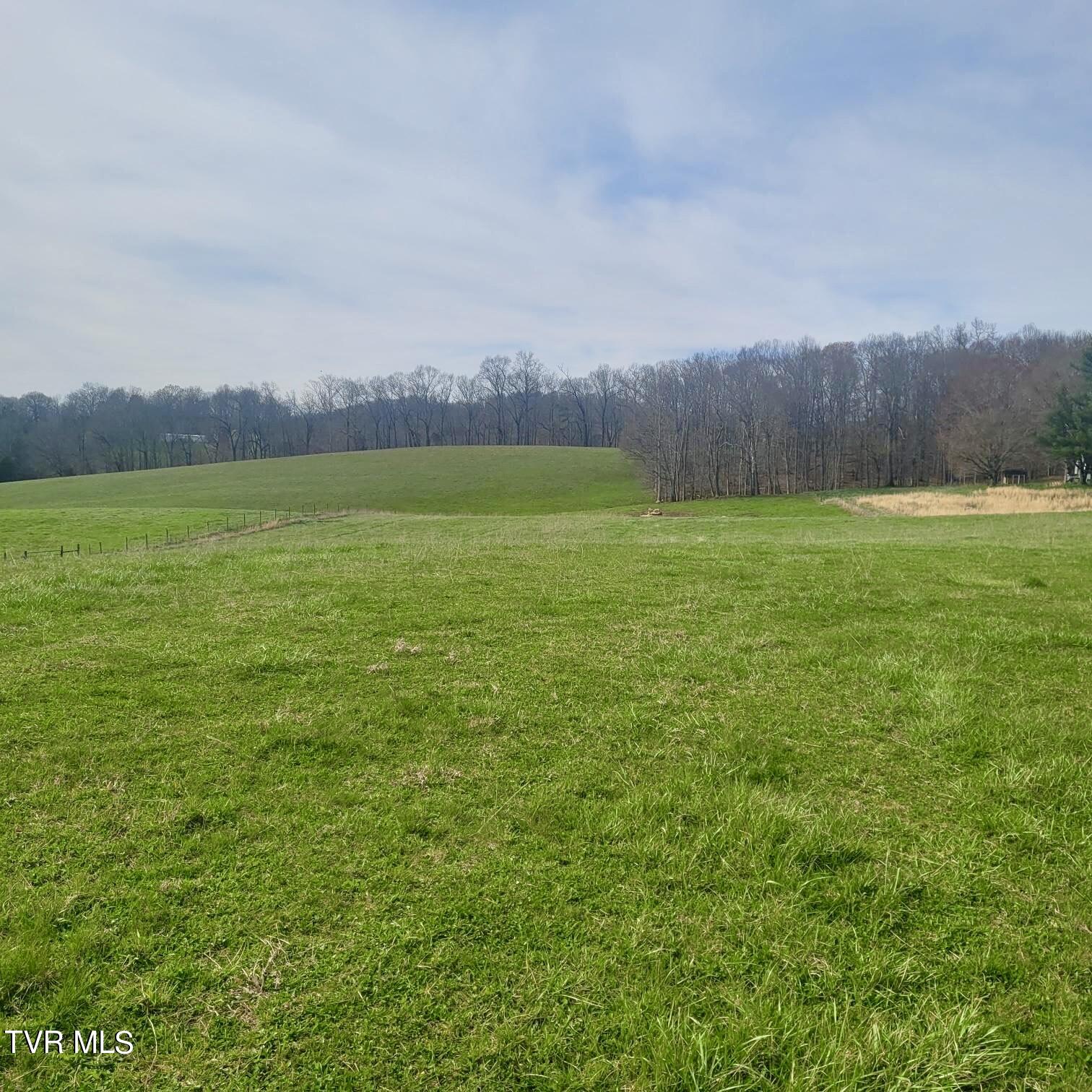 Tbd Egypt Road, Unit 8 Bluff City, TN 37618 - Photo 7 of 12 Resized_20240325_161231