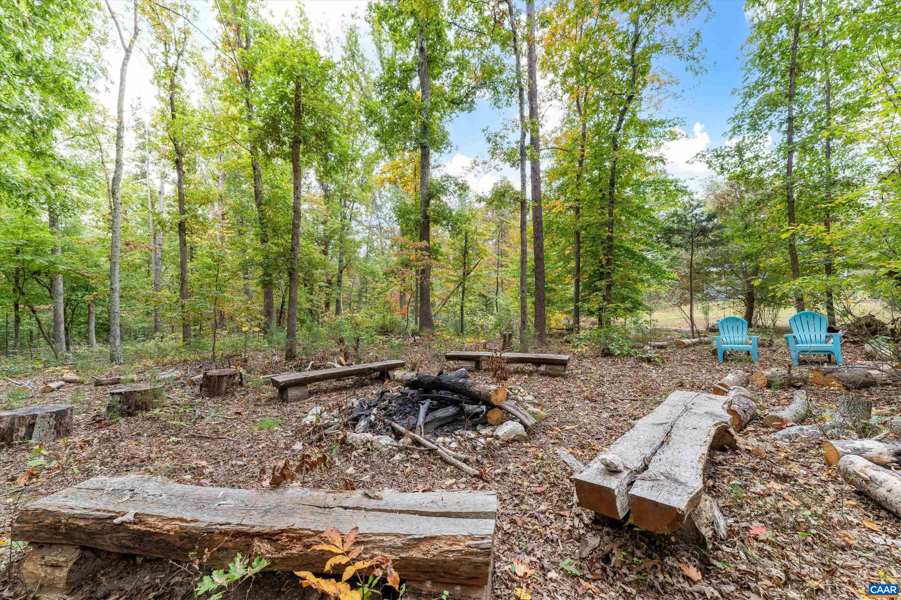 2833 Milton Road Charlottesville, VA 22902 - Photo 41 of 44 a wooden bench sitting in the middle of a forest