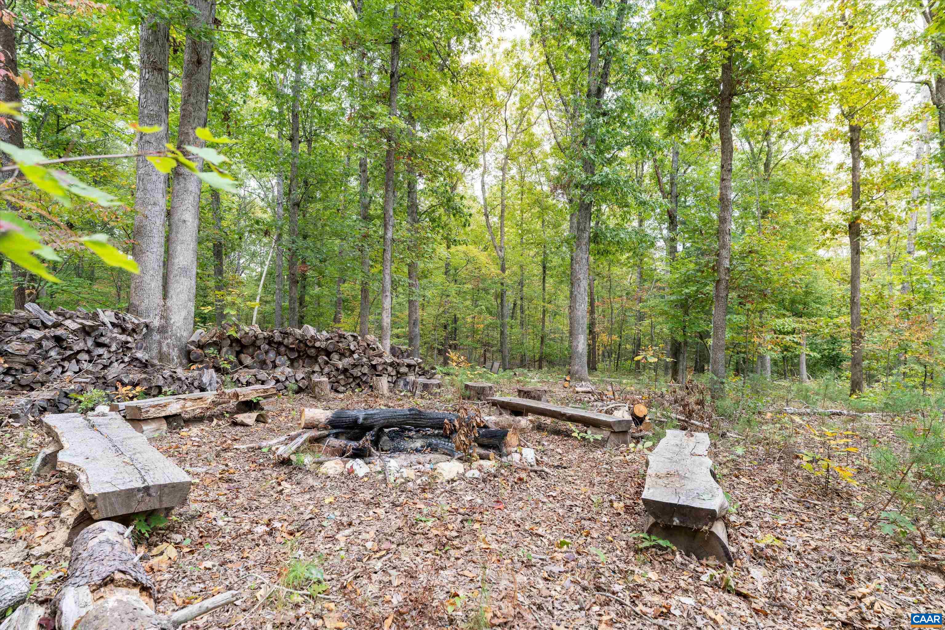 2833 Milton Road Charlottesville, VA 22902 - Photo 42 of 44 a view of a backyard with plants and outdoor seating