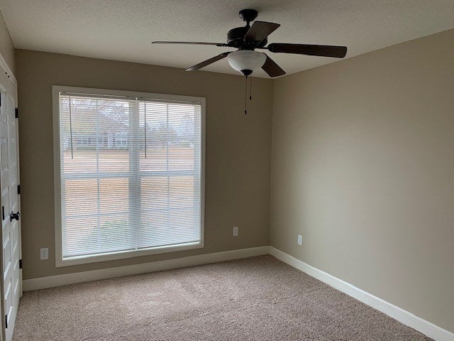 13 Smith Dairy Road Lakeland, GA 31635 - Photo 12 of 16 Gallery Image 12