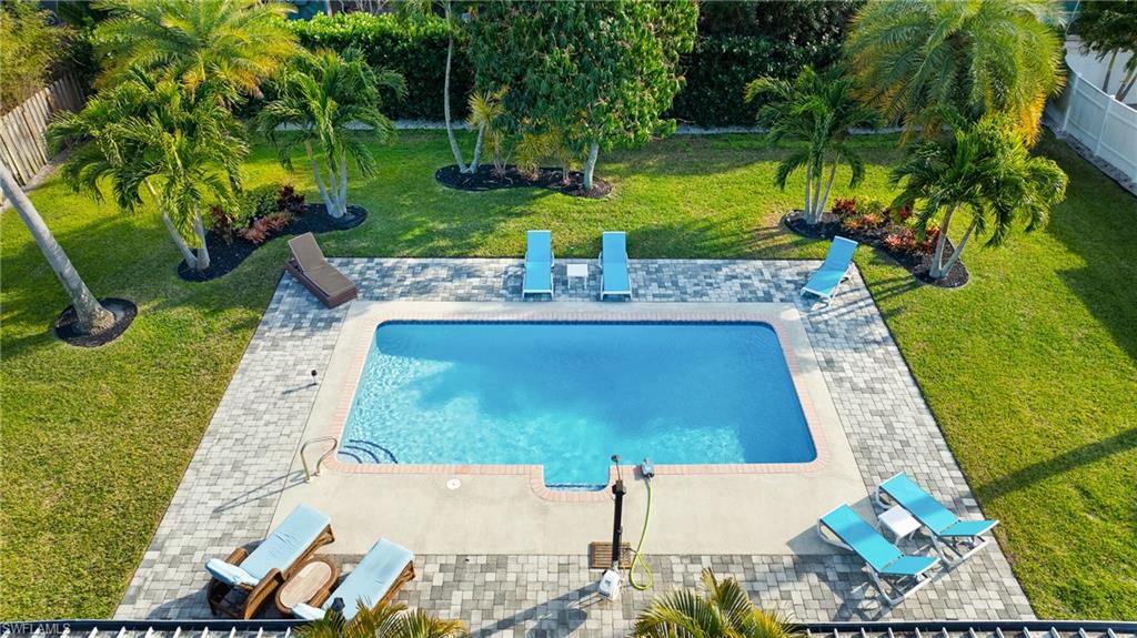 a view of a yard with plants