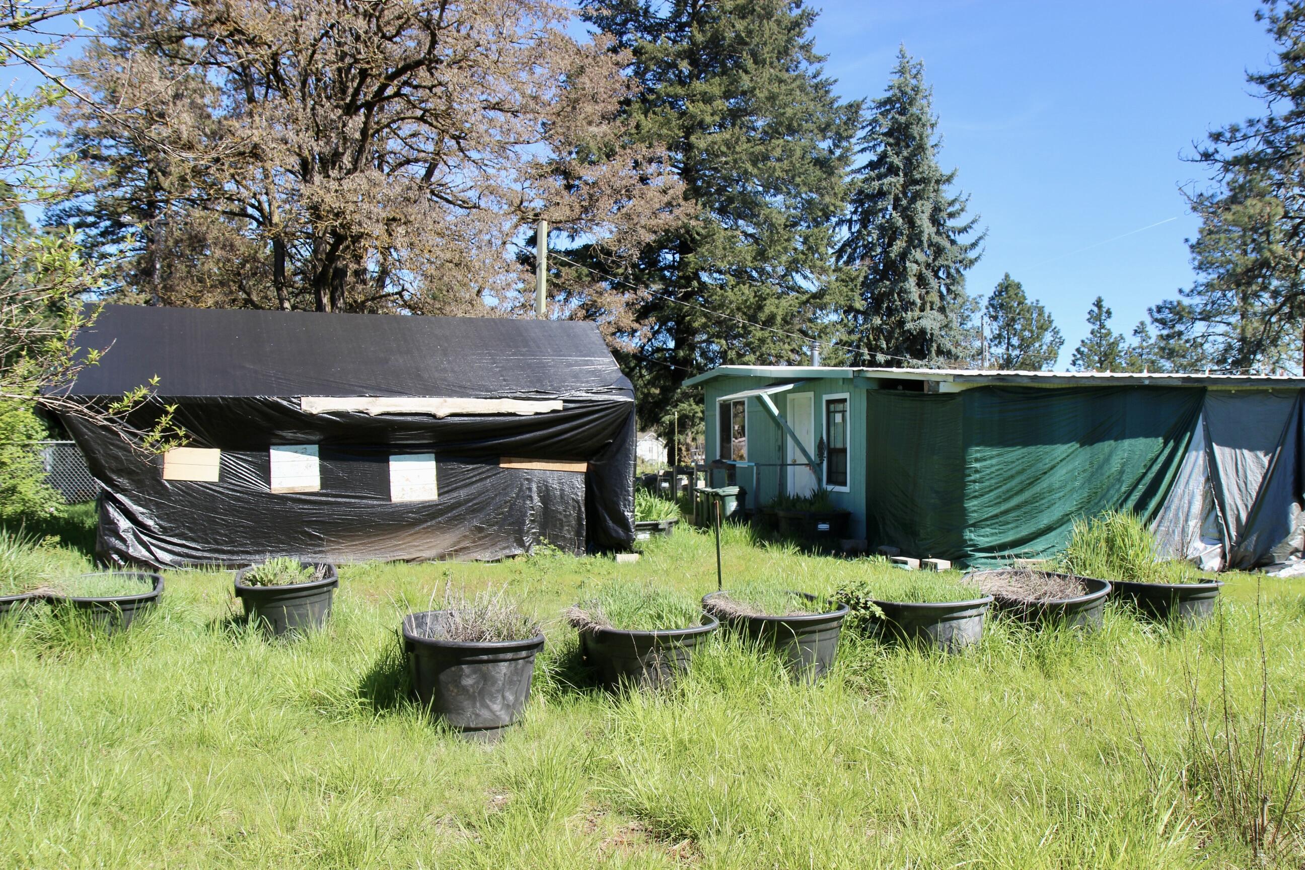 119 Patton Bar Road Cave Junction, OR 97523 - Photo 10 of 12 Patton Bar 10