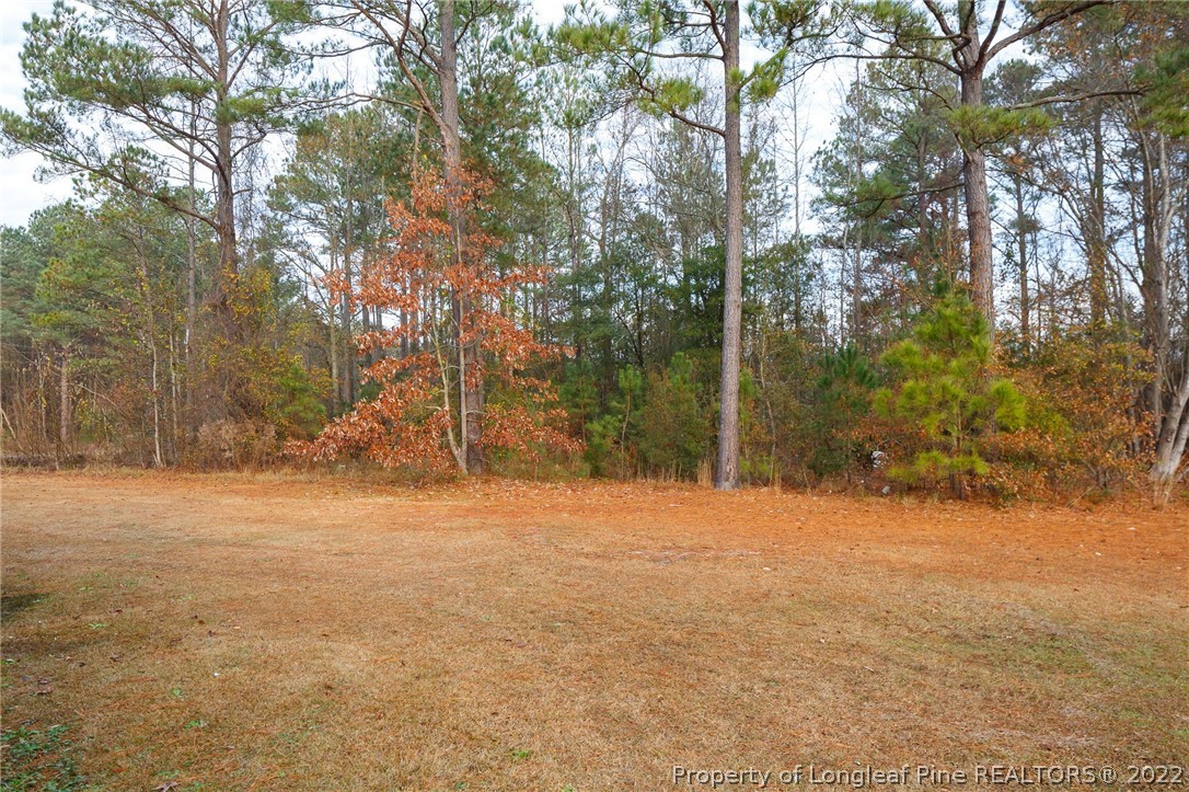 2051 Smith Road Hope Mills, NC 28348 - Photo 22 of 24 Gallery Image 22