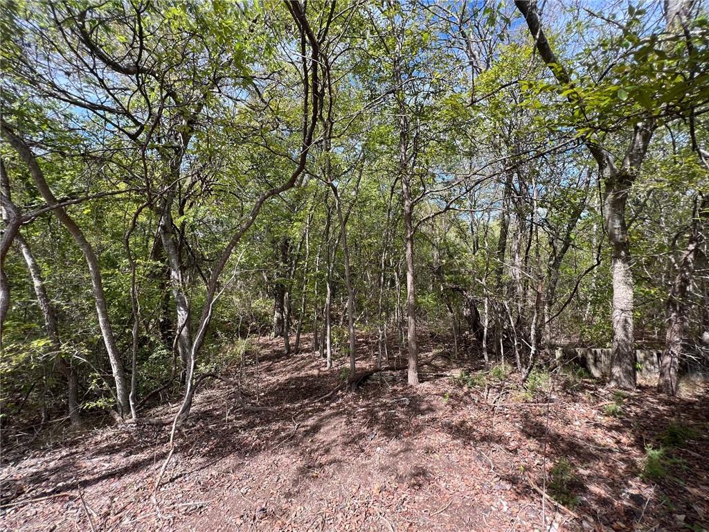 153 Suzanne Drive Moody, TX 76557 - Photo 3 of 8