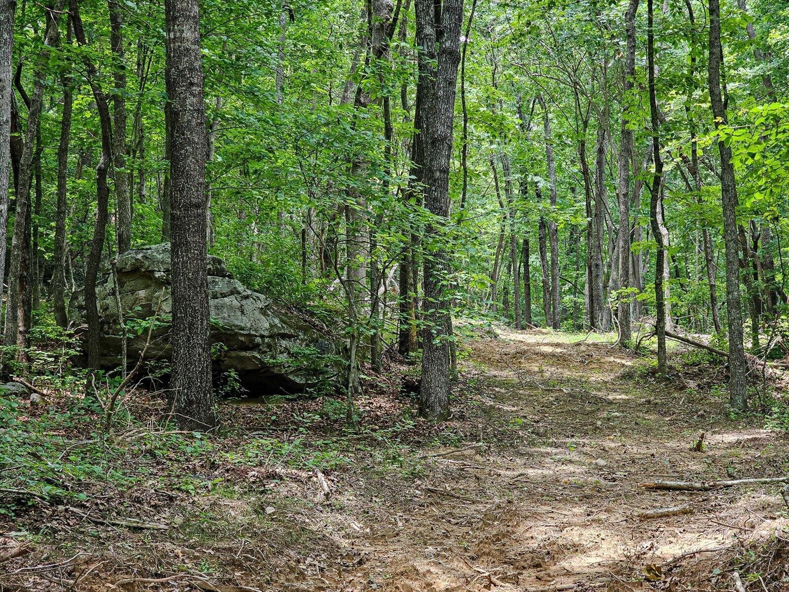 0 Hwy 157 Menlo Ga 30731 Menlo, GA 30731 - Photo 1 of 42 a view of a forest filled with trees