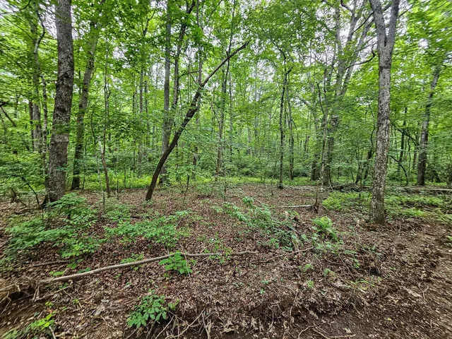 a view of outdoor space and green space