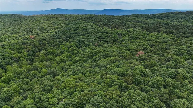 a view of a lush green field