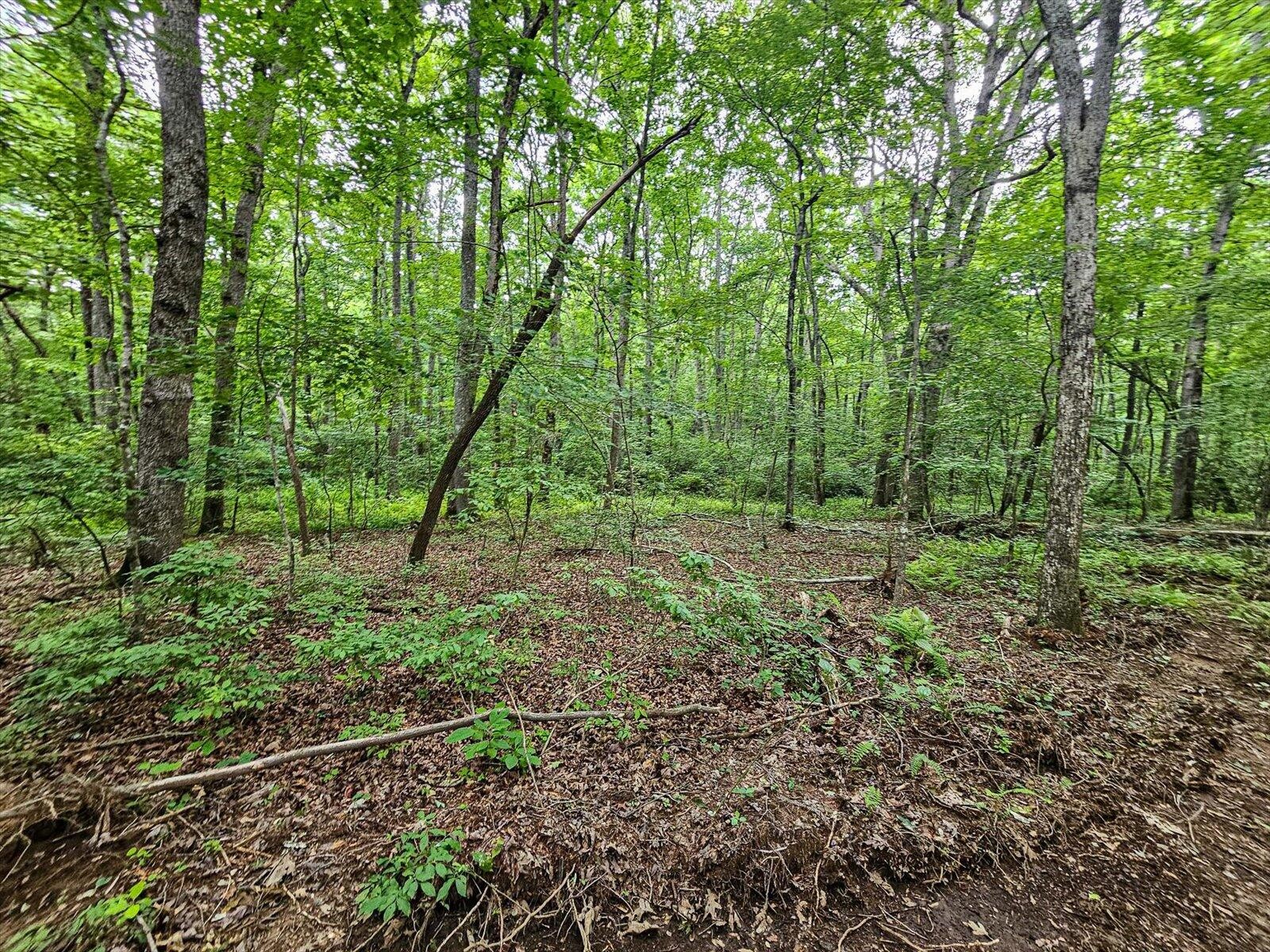 0 Hwy 157 Menlo Ga 30731 Menlo, GA 30731 - Photo 15 of 42 a view of outdoor space and green space